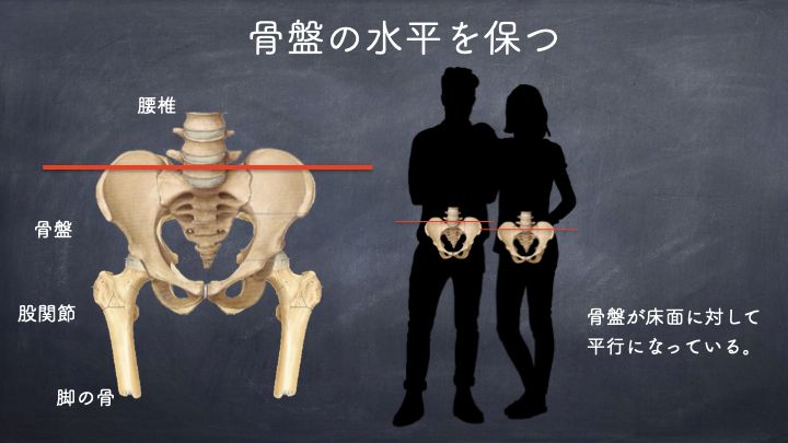 骨盤の水平を保つ